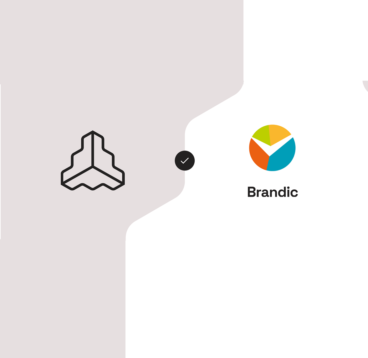 Brandic Frontify